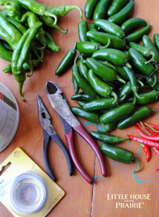 Supplies to Make a Pepper Wreath