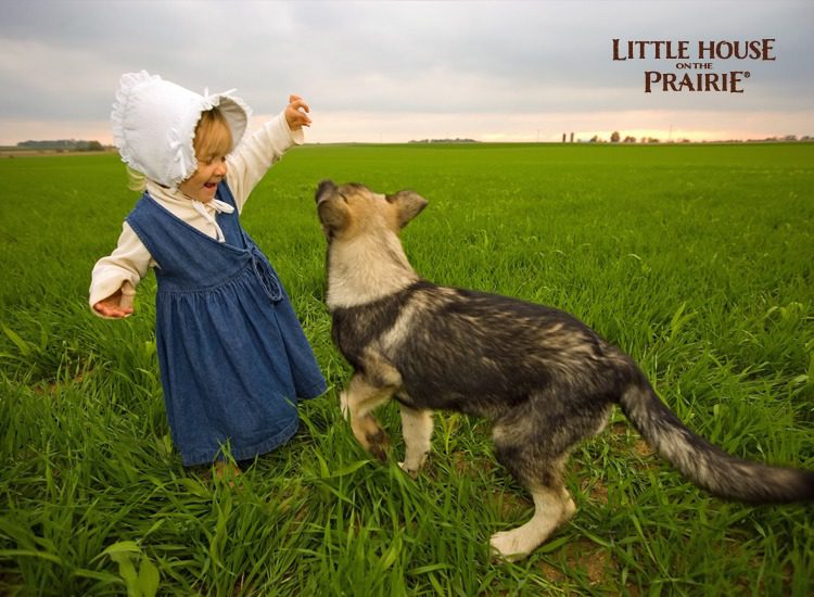 Throw a Little House on the Prairie Party for Your Birthday