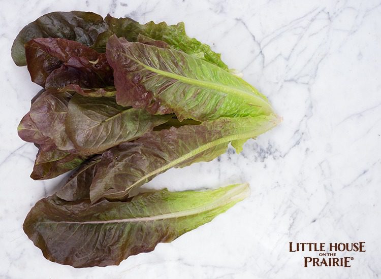 Historical Lettuce Varieties