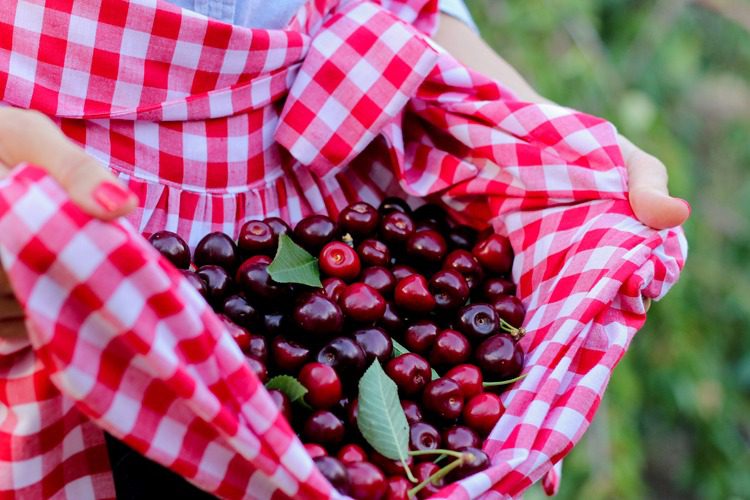 Gathered harvesting apron DIY