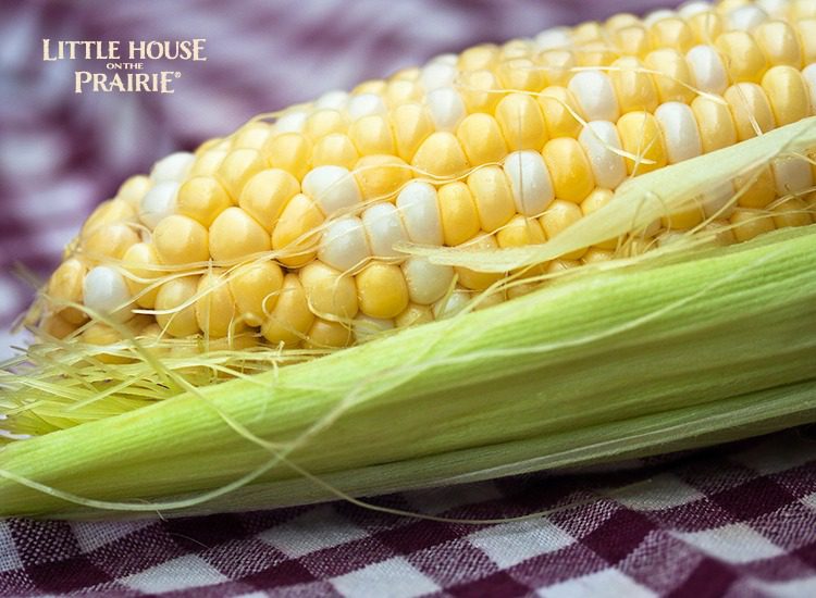 Growing, harvesting and preserving heirloom corn in the garden