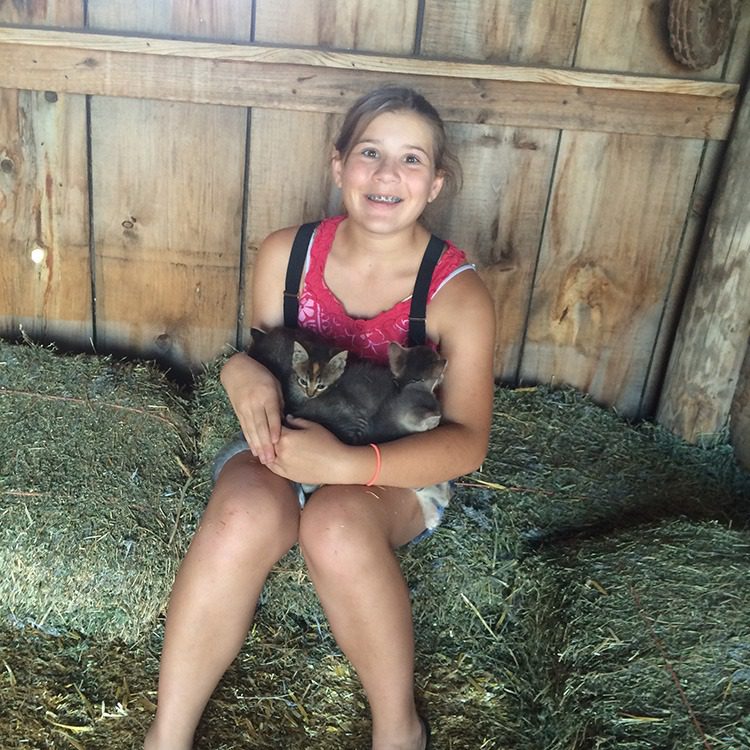 Kittens at the Ingalls Homestead in De Smet South Dakota